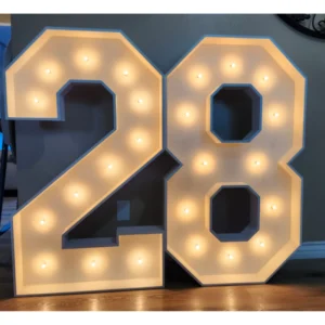 Decorative Numbers (1 - 10)