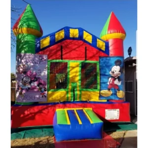 Boys # 3 Minnie y Mickey