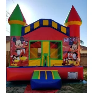 Boys #3 Mickey 13x13