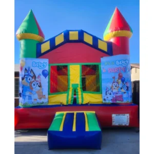 Boys #3 13 x 13 Bluey